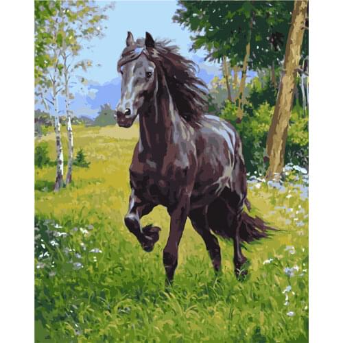 War Horse Animal DIY Digital Painting By Numbers Modern Wall Art Canvas Painting Unique Gift Home Decor farmhouse style