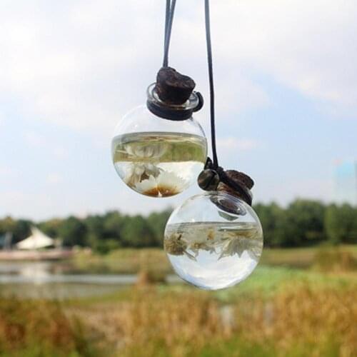 Clear Perfume Fragrance Air Freshener Empty Bottle Car Home Hanging Ornament Long Lasting Fragrance