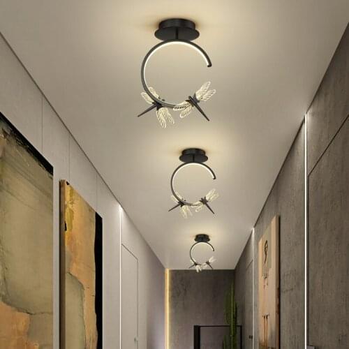 Home Lights LED Ceiling Lights for Living Dining Room Bedroom Aisle Corridor cloakroom Modern LED Ceiling Lamp Indoor Lighting
