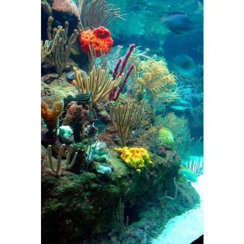 Home Decor Underwater World Animals 1-Silk Art Poster Wall Sticker Decoration Gift