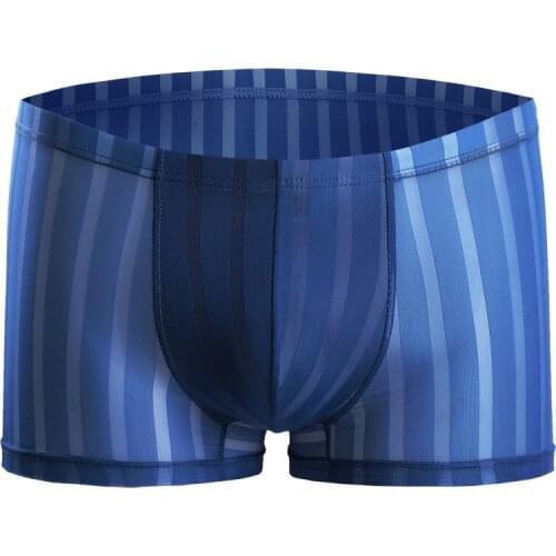 Sexy Gay Underwear Mens Boxers Shorts Transparent Ice Silk Panties Man Solid Breathable Pouch Underpants Male Penis Plus Size