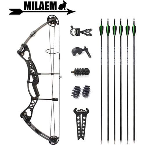 Archery M106 Compound Bow And Arrow Hunting Bow 40-60lbs Adjustable Carbon Arrows Spine 500 Shooting Hunting Accessories