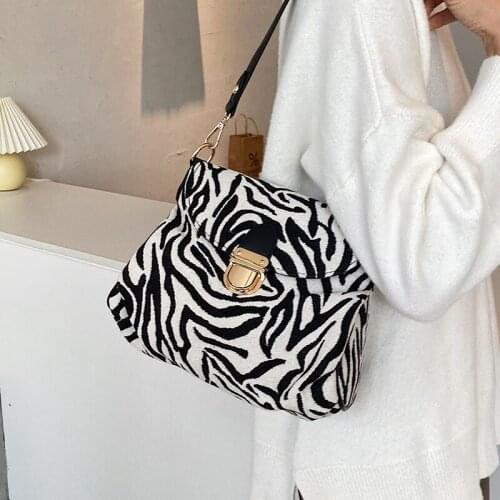 Original Design Winter Handbags New Fashion All-match Canvas Zebra Pattern Shoulder Bag Messenger Square Bag Multi-function Bag