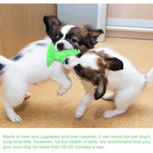 Pet Supplies Dog Toys New Dog Toothbrushes Dog Molars Toothbrush Stick Leakage Resistant Gnawing Dog Toys Pet