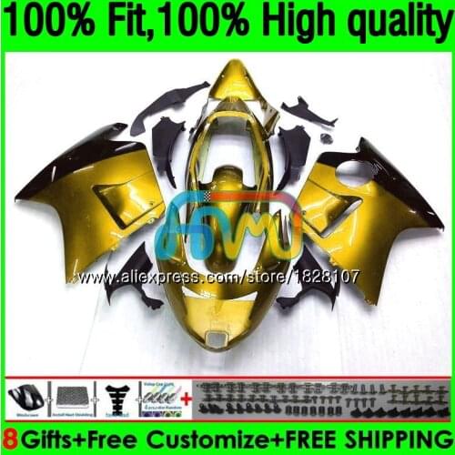 CBR1100 XX For HONDA Blackbird CBR 1100XX 02 03 05 06 07 132BS.118 CBR1100XX 2002 Gloss godlen 2003 2004 2005 2006 2007 Fairings