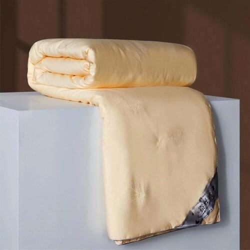 Chinese Handmade Mulberry Silk Quilt 100% Silk Filler Bed Blanket Comforter Handwork 100% Cotton Jacquard Cover 4 Seasons Duvet