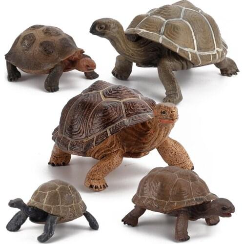 Cross-Border Simulation Tortoise Galápagos Tortoise Model Large Static PVC Courtyard Decoration Decoration Toys