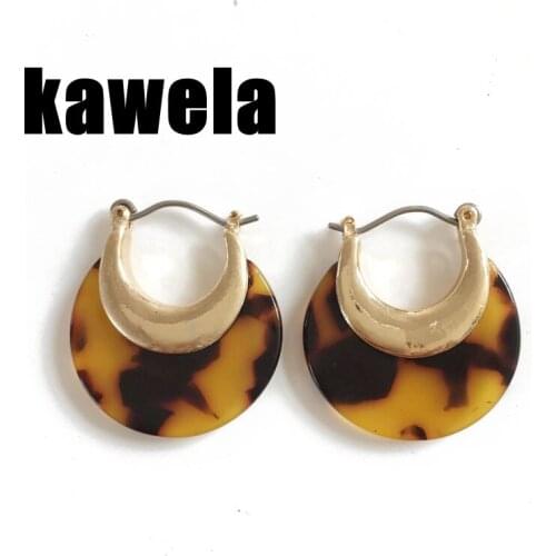 Brown Resin Leopard Earring Acetic Acid Sedmi-circle Small Cute For Piercing Ear
