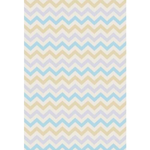 VinylBDS Photography Backdrops Wavy Stripes For Children Background Photographic Studio Background