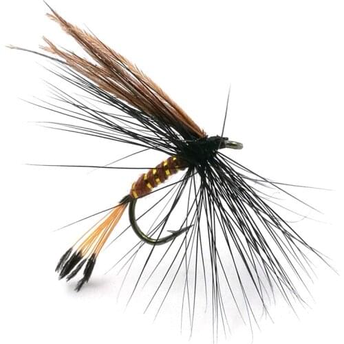 Shared With Fish 5pcs Brown&Black Tail Royal coatchman Fly Trout Flies Aritificial Bait 12# hook