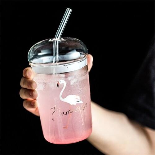 Transparent Straw Cup with Lid 500ml Glass Sippy Cup Home Coffee Tea Milk Juice Cups Bottle Student Water Bottle Mugs Drinkware