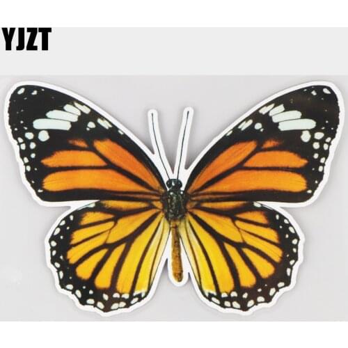 YJZT 16×11CM Beautiful Monarch Butterfly Fashion Window Door Decoration Cartoon Car Sticker 21A-0133
