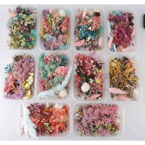 1 Box Real Dried Flower Dry Plants For Aromatherapy Candle Epoxy Resin Pendant Necklace Jewelry Making Craft DIY Accessories