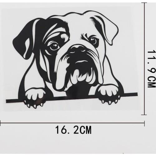 16.2CMX11.9CM Fun English Bulldog Peeking Dog Vinyl Car Sticker Black/Silver 8A-0118