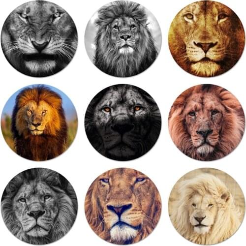 Animals lion Badge Brooch Pin Accessories For Clothes Backpack Decoration gift 58mm