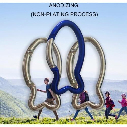2PCS Fish-Shaped Aluminum Alloy Carabiner Outdoor Safety Fast Hanging Custom Mountain Climbing Buckle Carabiner Keychain