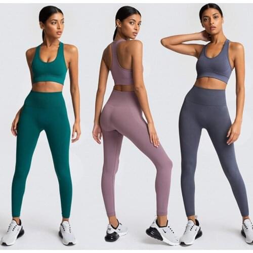 Seamless Women Yoga Set Fitness Tracksuit Woman Sportswear Gym Leggings Threaded Beauty Back Shockproof Bra 2 PCS Sports Suits 2