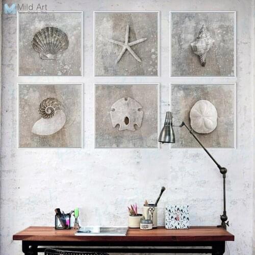 Grey Vintage Sea Shell Photo Original Rustic Posters Prints Gifts Collections Canvas Paintings Home Living Room Wall Art Decor