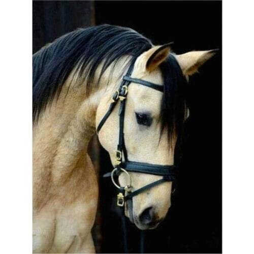 Snow Two Horse Animal Printed 11CT Cross Stitch Complete Kit Embroidery DMC Threads Hobby Sewing Knitting Handicraft Decor