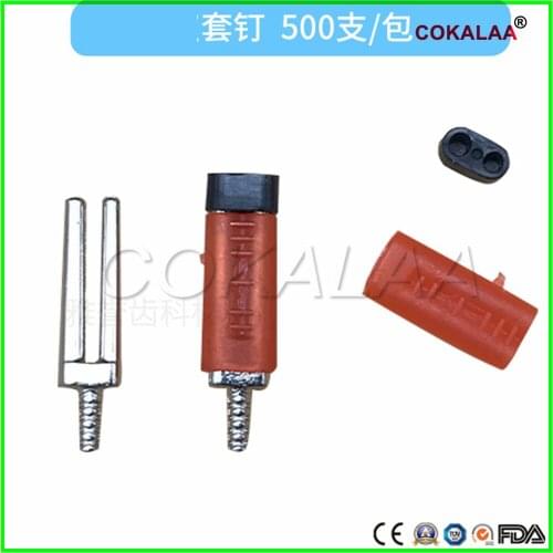 1000 Sets Dental Master Twin Double II pins & Plastic Sleeves 21mm