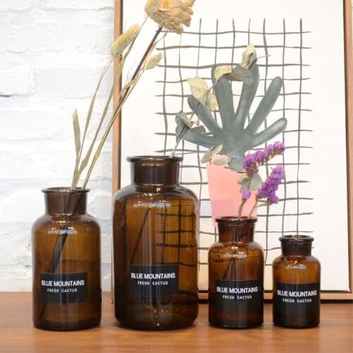 Chic Minimalist Glass Storage Jars Scandinavian Vogue Elegance Desk Storage Bottle Organizer Coffee Tea Flower Container Decor