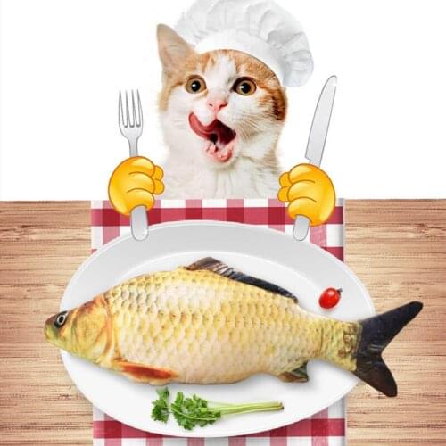 NEW Pet Plush Toy 3D Simulation Fish Natural Catnip Stuffed Pillow Interactive Molars Cat Stick Funny Playing Toy For Pet
