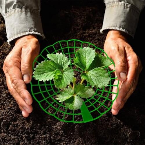 3PCS Strawberry Stand Frame Holder Balcony Plant Climbing Vine Trellis Flower Fruit Strawberry Support Rack Gardening Stand