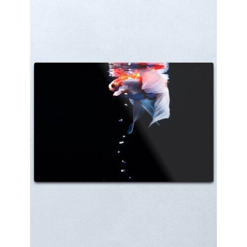 Cool fish Metal Print Tin Sign Vintage Metal Wall Sign Plaque Retro Garage Shed Car