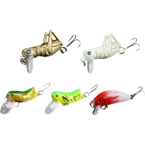 5pcs boxed lure bait 5 color Mino fishing bait bionic bait grasshopper insect hard bait locust floating water fake bait set
