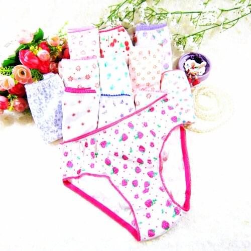 10pcs/set cotton Panties girls Briefs baby girl underwear children underwear child cartoon shorts Underpants ZJ-S69W