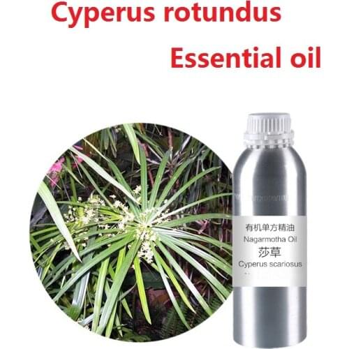 Cosmetics 10g / bottle Cyperus essential oil organic cold pressed vegetable plant oil free shipping skin care