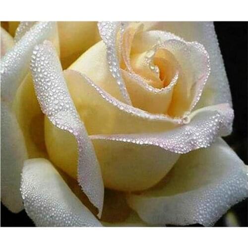 YIKEE diamond painting flower，cross stitch diamond,diamond mosaic paintings Y686