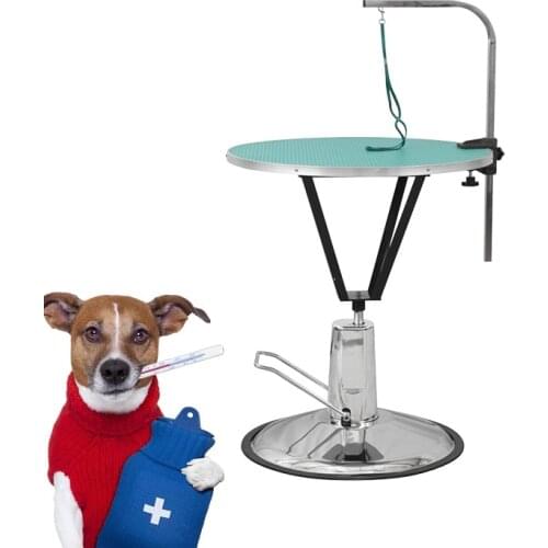Rubber Material Stainless Steel Veterinary Equipment Hydraulic Lifting Adjustable Pet Grooming Table