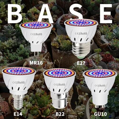Ksecanly Plant Lamps