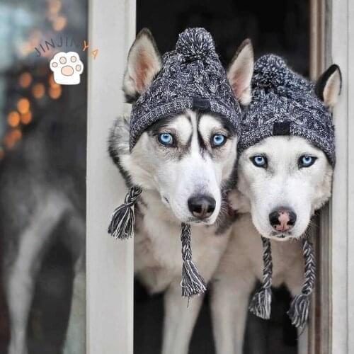 JINJINYA Hats For Dogs