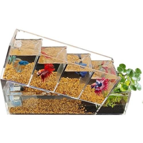 Creative Betta Tank Acrylic Desktop Small Fish Tank Multi-Grid Isolation Zone Self-Circulating Filter Change Water Ecological