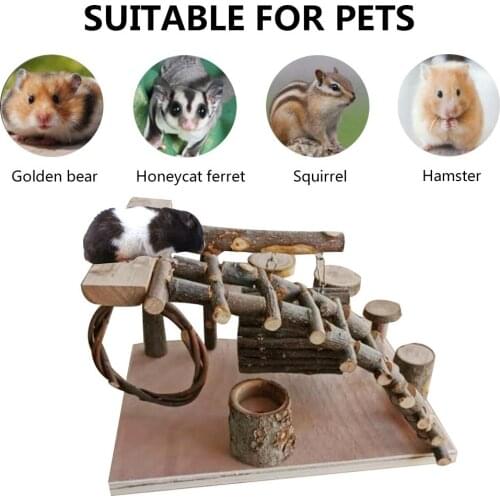 New Design Small Pet Ladder Pet Molars Toy Wooden Fitness Climbing Accessories For Small Hamsters Squirrels Chinchillas Rabbits
