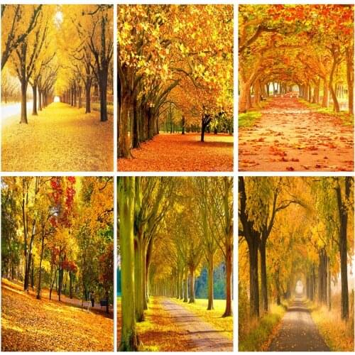 SHENGYONGBAO Natural Scenery Photography Background Fall Forest Landscape Travel Photo Backdrops Studio Props 1911 CXZM-38