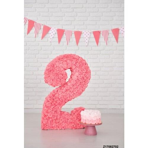 LIFE MAGIC BOX Wrinkle-free Washable Second Birthday Photo Backdrop Birthday Background