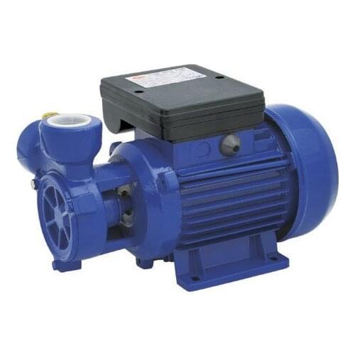 Sea shipping factory directly sale 0.33hp 0.25kw Water Pump Clean Pump DB-125