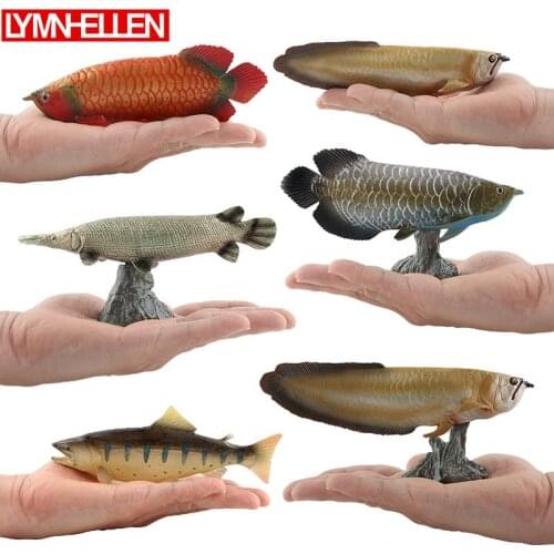 New Simulation Sealife Animals Fish Arowana Series Arowana Silver Arowana Plastic Action Figure Model Kids Learning Toys