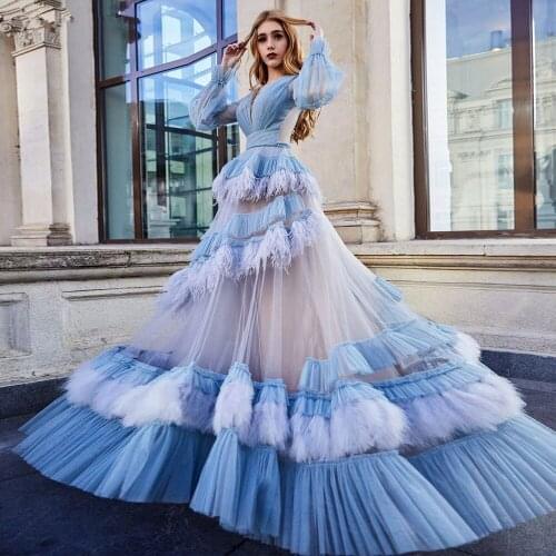 Elegant A Line Prom Dresses Sheer Long Sleeves Feather Ruffles Evening Gowns Red Carpet Film Opening Ceremony Dress