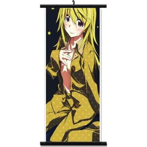 Coscase Anime IS Infinite Stratos shinonono houki Cecilia Alcott Huang lingyin Home Decor Wall Scroll Poster Decorative Pictures
