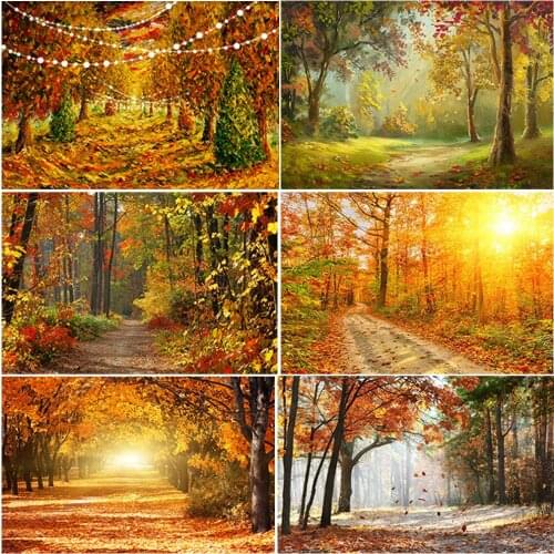 Autumn Golden Maple Leaf Background For Photography Natural Scenery Jungle Backdrop Decoration Photocall Background Photo Studio