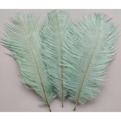 Hot 10pcs High Quality Mint Green ostrich feathers 6-8 inches/15-20 cm for Wedding Party Decor Accessories Wedding Decoration