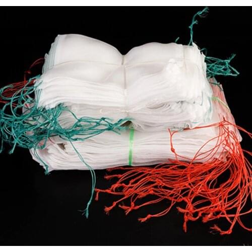 10pcs Big Size Netting Mesh Vegs Tree Crop Plant Fruit Protection Net Pest Exclusion Insect Covers Garden Frosty 30x45cm 40x60cm