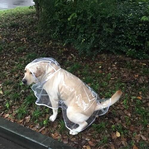 Pet Dog Waterproof Raincoat Transparent Dog things rain cap clothes coat Good quality fashion Factory wholesale