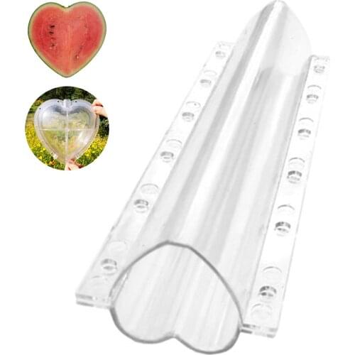 5 Pieces of Transparent Mold for Growing and Forming Fruits and Vegetables Heart-shaped Cucumber Planting Tools DIY Plastic