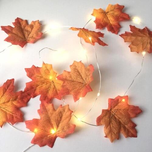 Thingchy Festive Lighting
