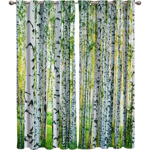 Birch Forest Trees Nature Printing Curtains Living Room Bedroom Home Decoration Suitable for Adult Children Window Curtain